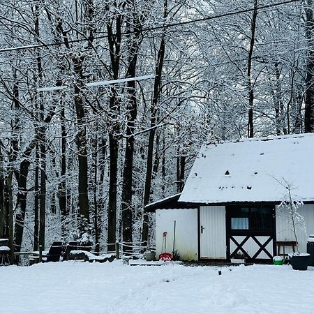 Romantyczna Chatka Pisarzowice  Luaran gambar