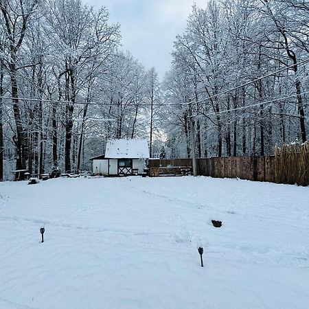 Romantyczna Chatka Pisarzowice  Luaran gambar