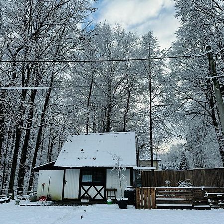Romantyczna Chatka Pisarzowice  Luaran gambar