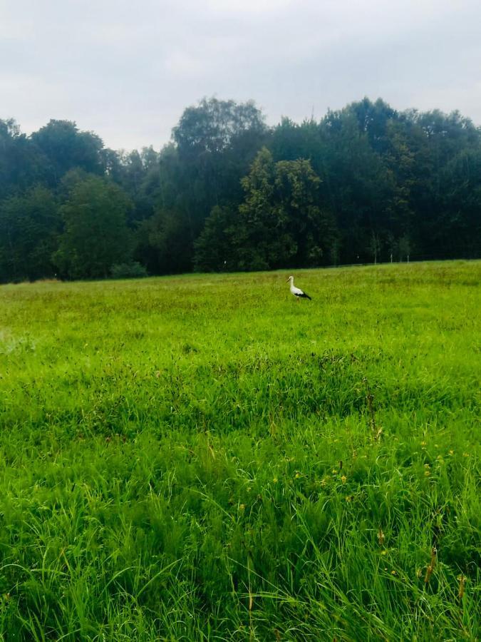 Romantyczna Chatka Pisarzowice  Luaran gambar