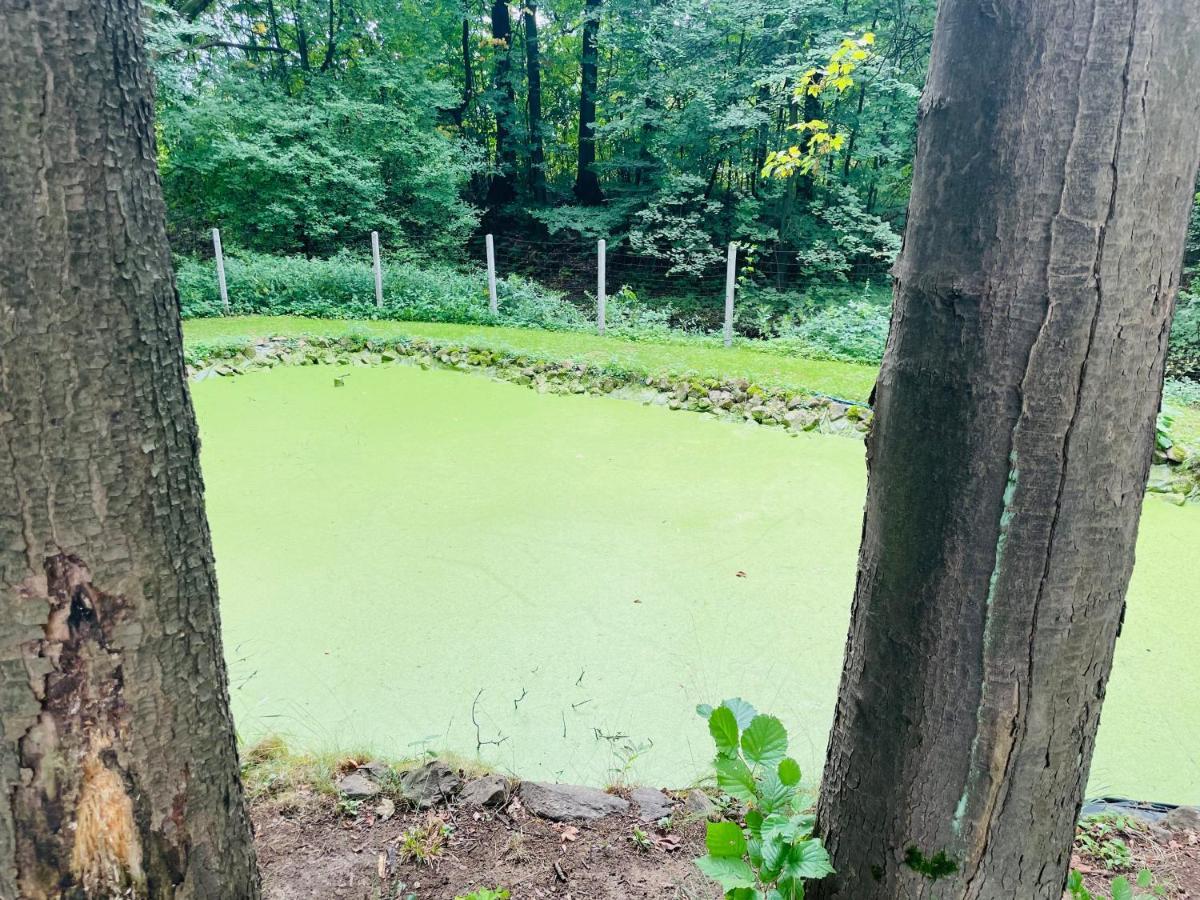 Romantyczna Chatka Pisarzowice  Luaran gambar