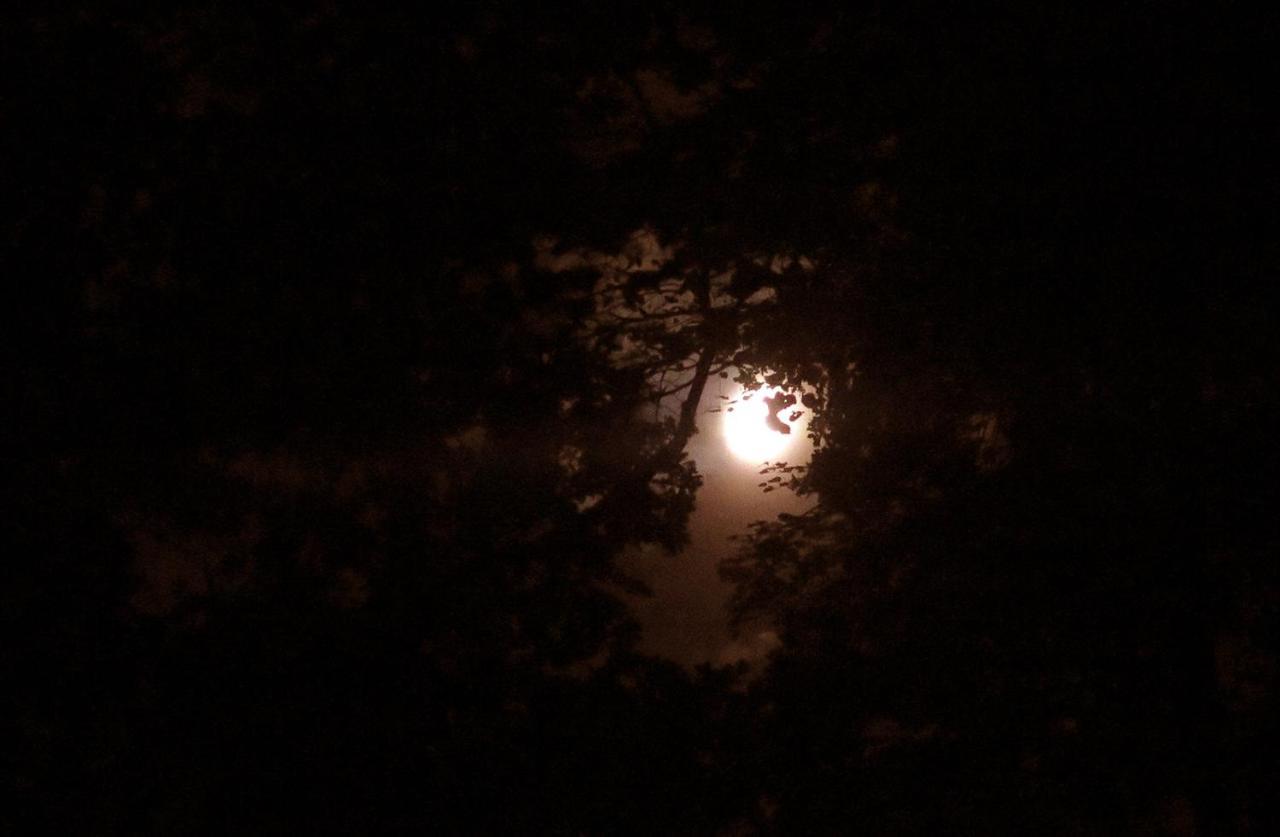 Romantyczna Chatka Pisarzowice  Luaran gambar