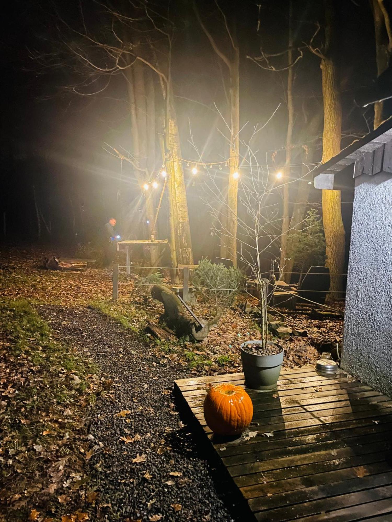 Romantyczna Chatka Pisarzowice  Luaran gambar