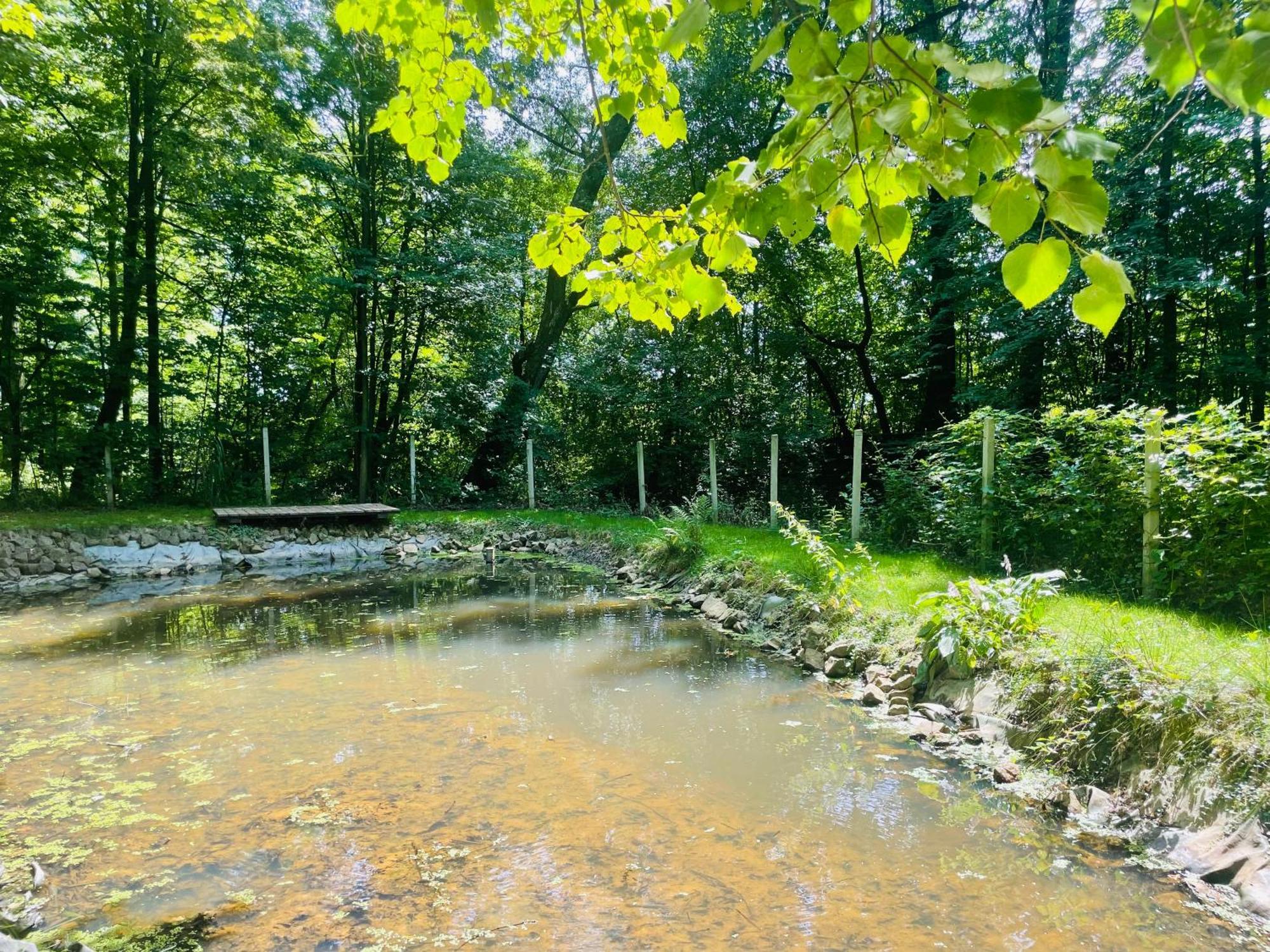 Romantyczna Chatka Pisarzowice  Luaran gambar