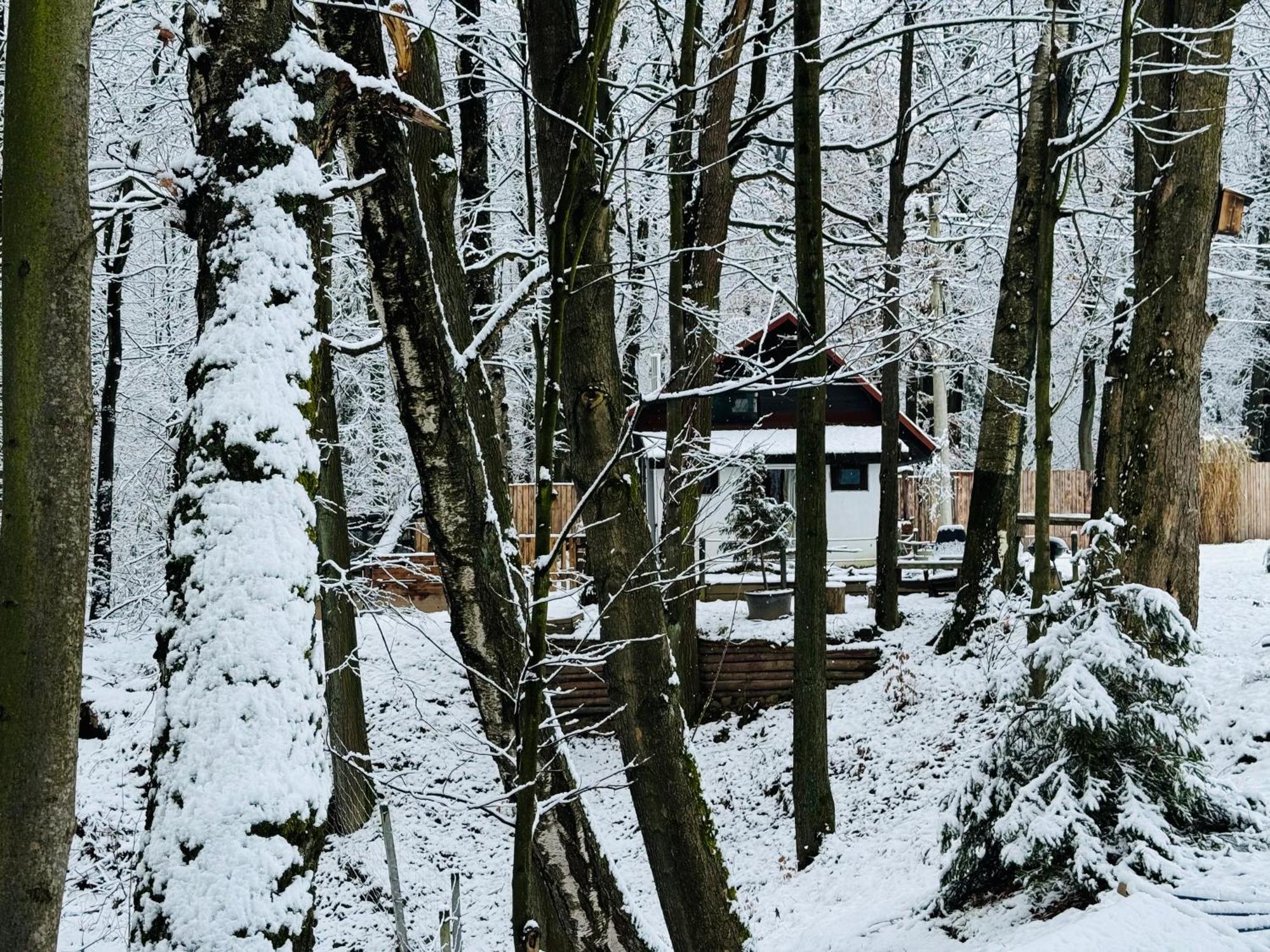 Romantyczna Chatka Pisarzowice  Luaran gambar