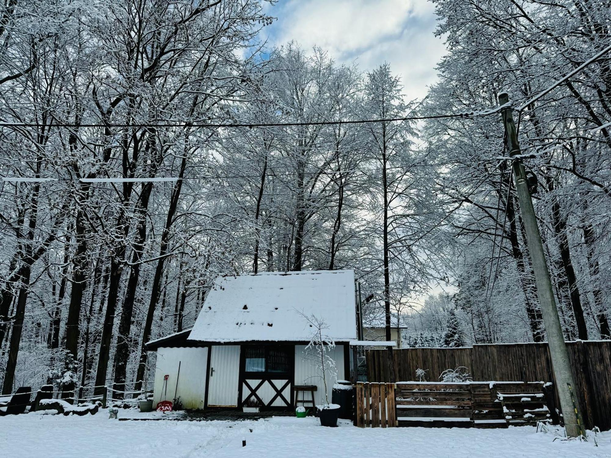 Romantyczna Chatka Pisarzowice  Luaran gambar